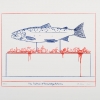 salmon of knowledge art print